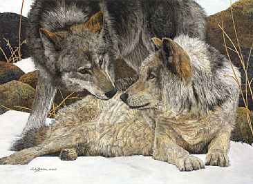 The Alphas - Wolves by Judy Larson