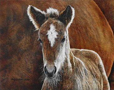 Wild In The Country - WILD HORSE, FOAL by Judy Larson