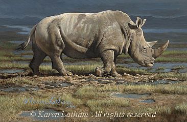 Edge of the Storm - White Rhinoceros - White Rhinoceros by Karen Latham