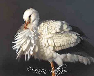 Fluff 'n Fold - European White Stork by Karen Latham