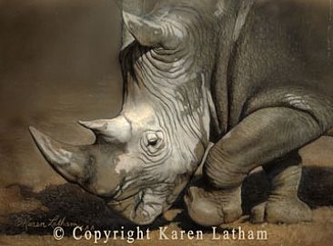 Rhino Study - White Rhinoceros by Karen Latham