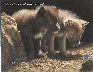 Nosin' Around - Wolf pups by Karen Latham
