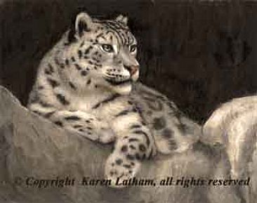 Snow Leopard - Snow Leopard by Karen Latham