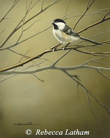 Changing Seasons - Chickadee by Rebecca Latham