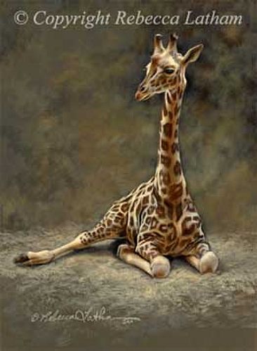 Resting - Giraffe by Rebecca Latham