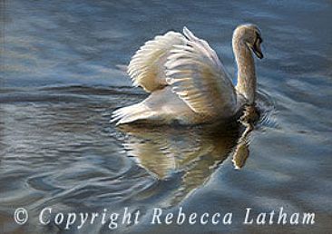 Mute Swan - Mute Swan by Rebecca Latham