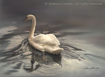 Mist - Mute Swan - Mute Swan by Rebecca Latham