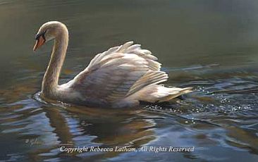 Elegant Passage - Mute Swan - Mute Swan by Rebecca Latham