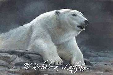 Polar Ambiance - Polar Bear by Rebecca Latham
