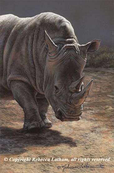 Trail Blazer - Rhino by Rebecca Latham