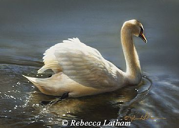Mute Swan Study II - Mute Swan by Rebecca Latham