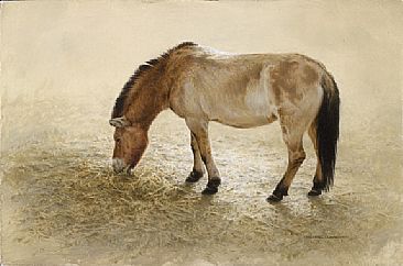 Ancestral Equus - Przewalsky Horse by Michael Dumas