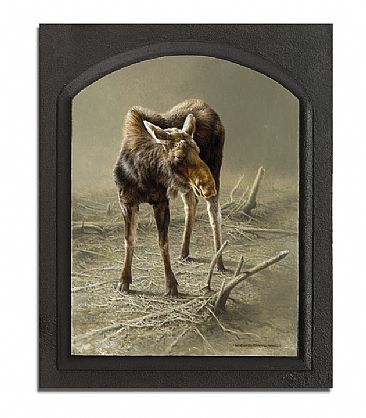 The Yearling - Young Moose by Michael Dumas