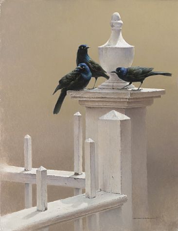 Garden Party - Common Grackles by Michael Dumas