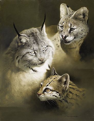 Genetic Drift - Serval, Canada Lynx, Margay by Michael Dumas