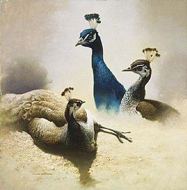 Indigo & Umber - Blue Peafowl by Michael Dumas