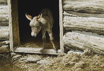 Stepping Out - Young Donkey by Michael Dumas
