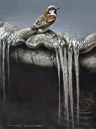 Overflow - House sparrow & stone fountain by Michael Dumas