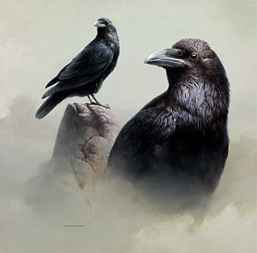 Raven Study - Raven by Michael Dumas