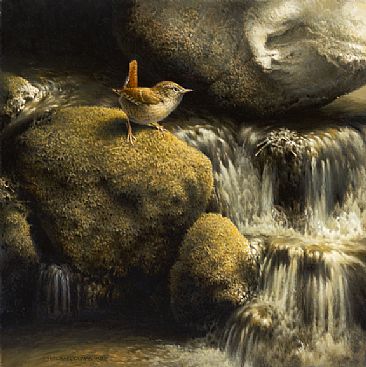 Spring Thaw - Winter Wren by Michael Dumas
