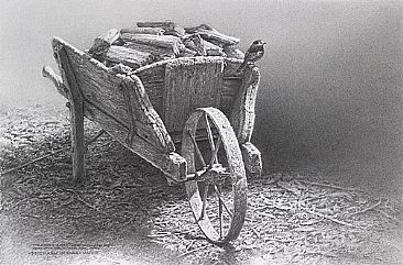 Weather Worn - Wheel Barrow & Pied Wagtail by Michael Dumas