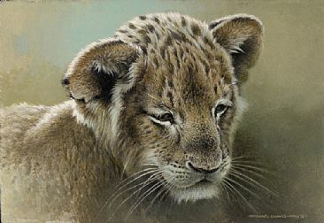 The Young Prince - Lion cub by Michael Dumas
