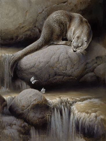 Idyl Wild - River Otter by Michael Dumas