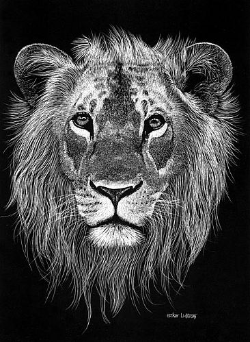 Lion - Lion  by Esther Lidstrom