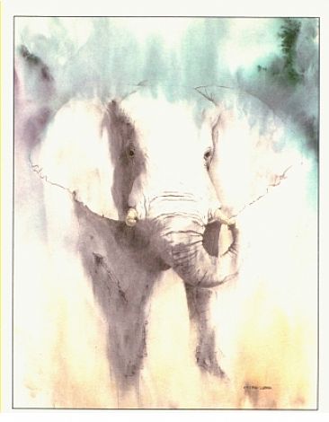Elephant I - Elephant by Esther Lidstrom