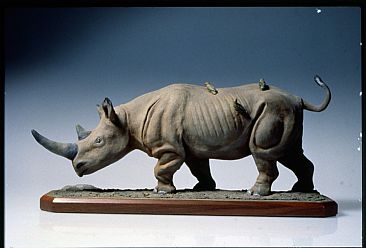 Black Rhino - black rhino by Dorcas MacClintock