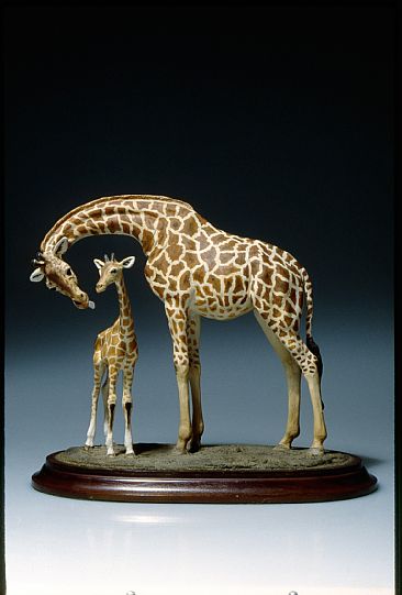 Giraffe - cow and calf - Rothschild giraffe by Dorcas MacClintock