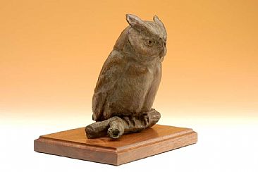 Owl I - Eastern Screech Owl by Dorcas MacClintock