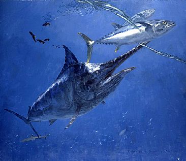 Black Marlin, Dog Tooth Tuna, Shark and Needlefish - marlin shark tuna by Stanley Meltzoff