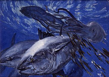Bluefin and Giant Squid #2  sketch - Bluefin Tuna Squid by Stanley Meltzoff