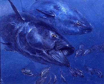 Tuna and Butterfish  study - Bluefin Tuna Butterfish by Stanley Meltzoff