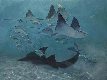 Eagle Rays, Shark and Permit School -  eagle rays, Sharks, permit by Stanley Meltzoff