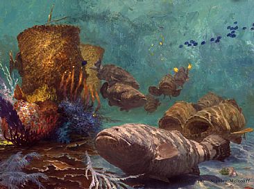Sabbath Reef Worship - jewfish  Reef by Stanley Meltzoff