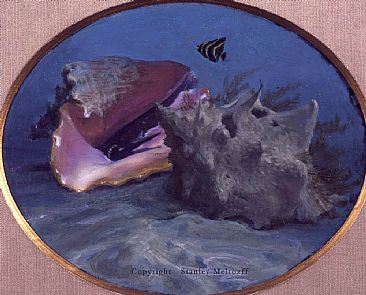 Ladyfish, Angelfish, Live conch/Dead Conch - ladyfish conch angelfish by Stanley Meltzoff