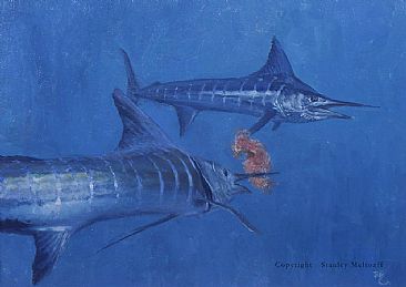 Two Striped Marlin and Iris Nudibranch  study - marlin nudibranch by Stanley Meltzoff
