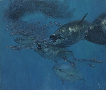  Five Bluefin Tuna and bunker - Bluefin Tuna by Stanley Meltzoff
