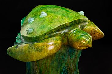 Seafarer of Misty Mystic Memories - sea turtle by Leo Osborne