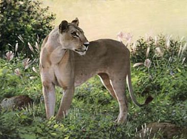 Lioness - Lion by Patricia Pepin