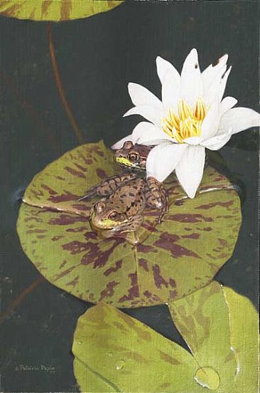 Sitting pretty - Frog by Patricia Pepin