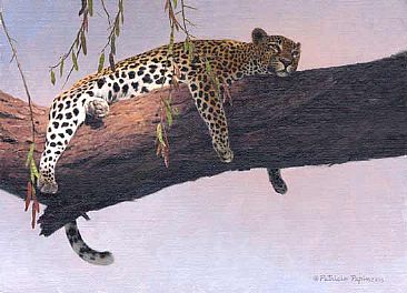 Acacia Flat - leopard by Patricia Pepin