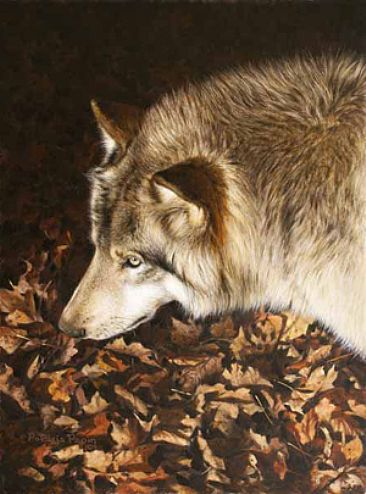Autumn Wolf - Wolf by Patricia Pepin