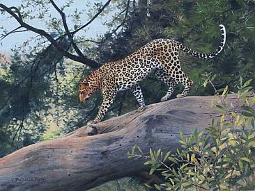 Catwalk - Leopard by Patricia Pepin