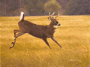 Crossing the field - Deer by Patricia Pepin