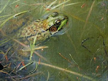 Disruptive Pattern - frog by Patricia Pepin
