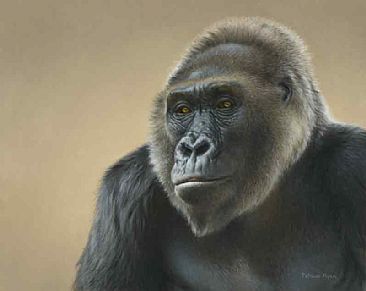 Gorilla Girl - Gorilla by Patricia Pepin