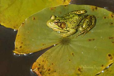 Green Buck - frog by Patricia Pepin